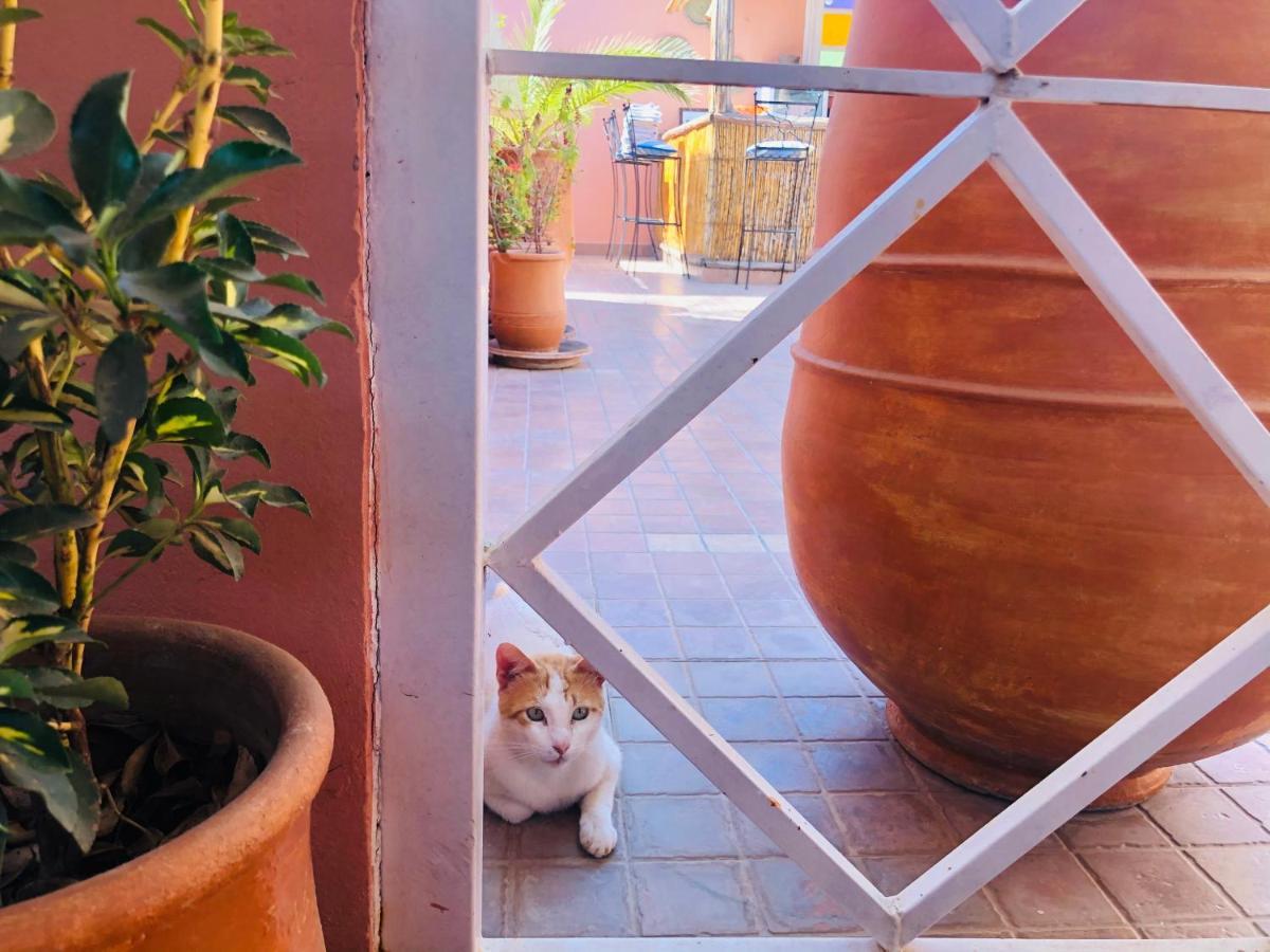 Riad Dihya Marrakesh Exterior foto